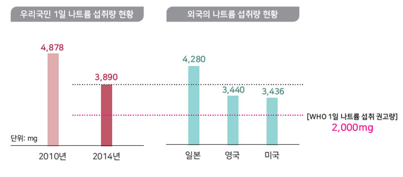 나트륨 섭취현황 No1.