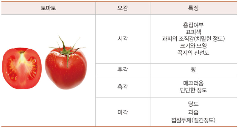 오감 · 오미를 활용한 지역 식재료 특징 작성 예시