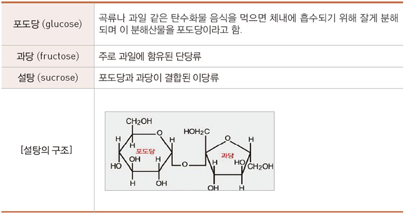 당의 종류 및 설탕의 구조