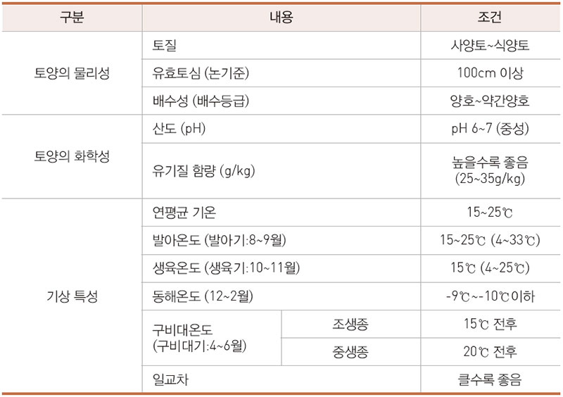 양파의 최적 재배조건