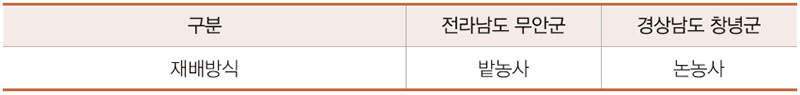 전남 무안군과 경남 창녕군 양파 재배방식 비교