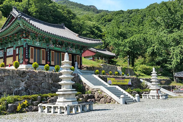 백양사 천진암
