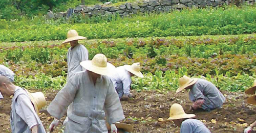 사찰음식 바른수행과 음식 문화