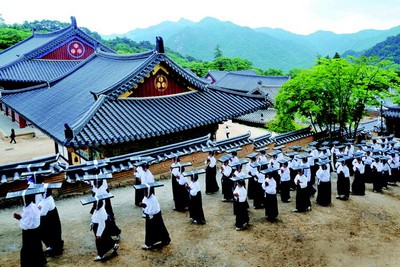 동훈 스님과 해인사 고수비빔국수