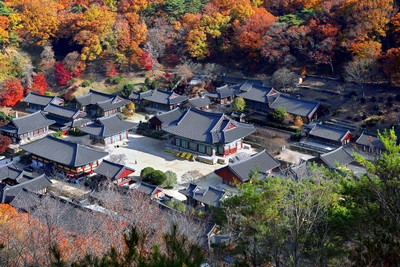 원공 스님과 송광사 매실장아찌