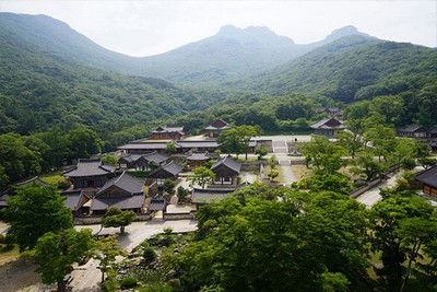 성락 스님과 대흥사 시래깃국