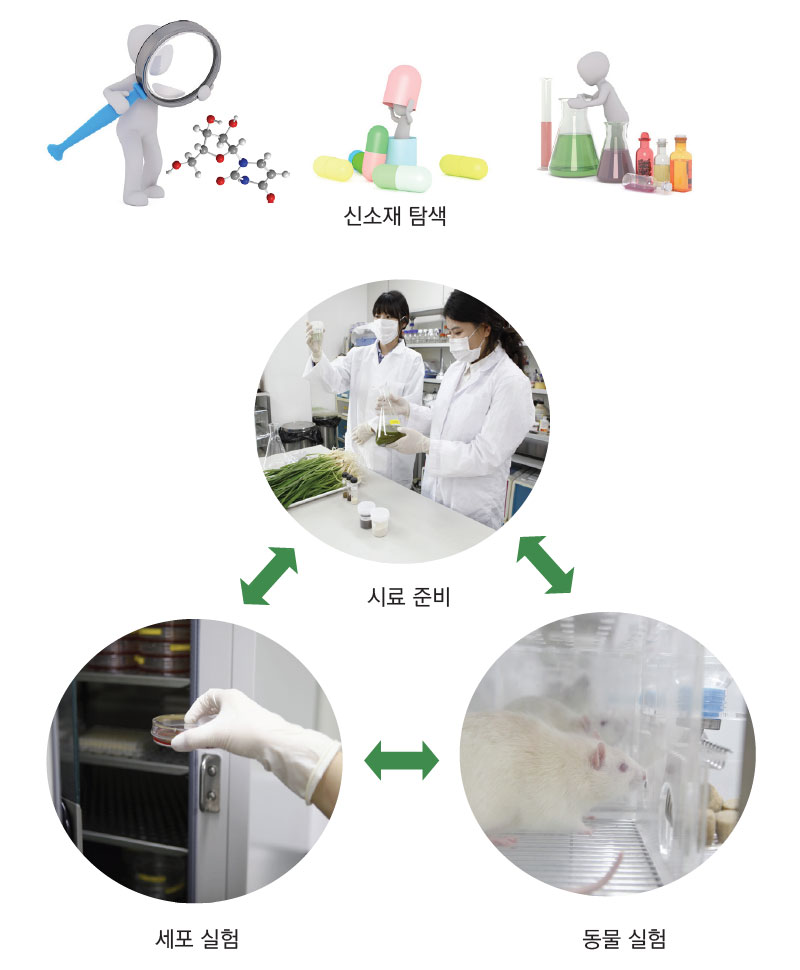 삼채 기능성 평가