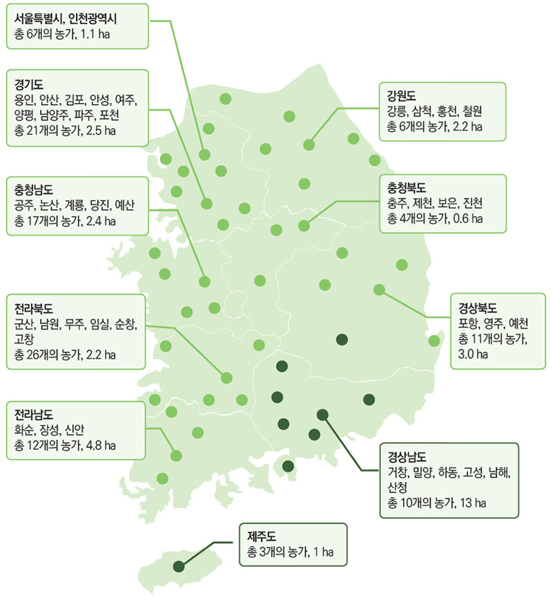 삼채 지역별 생산지