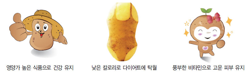 감자 활용