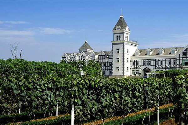 China Wine Tours