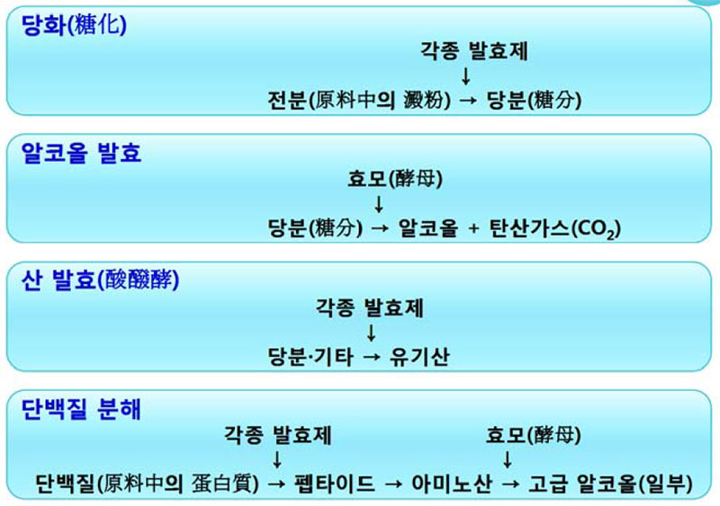 술덧 발효중의 주된 변화