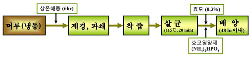 머루 주모 제조공정