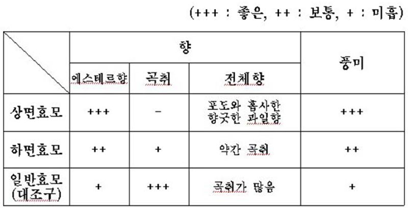 머루 주모 제조법에 따른 품질 특성