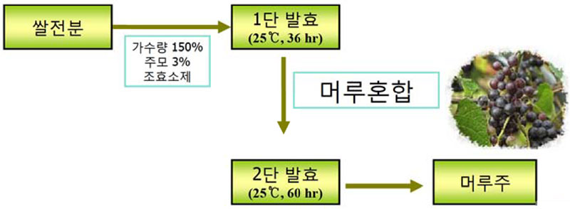 머루주 제조공정 (쌀전분 + 머루)