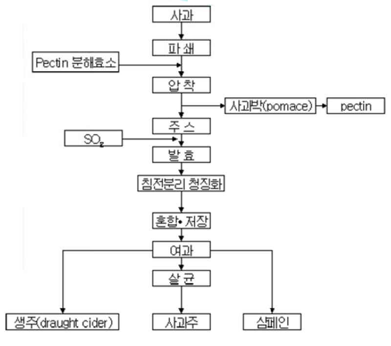 사과주 제조공정