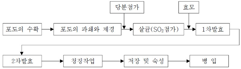 와인양조 과정