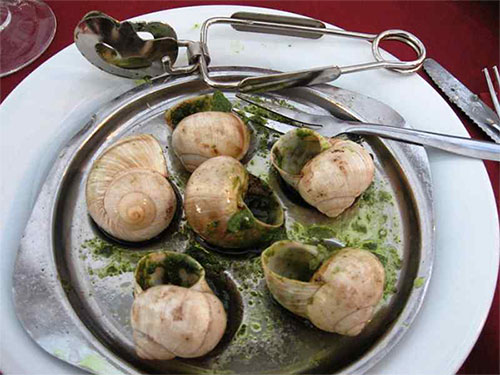 프랑스요리 에스카르고(escargot)