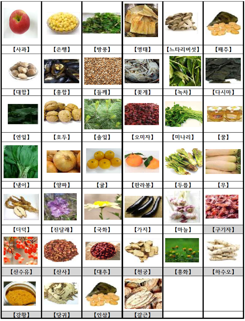 노화방지 메뉴개발을 위한 약재 및 식품 선정 목록 No2.