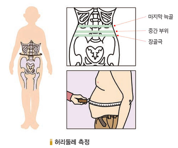 비만 허리둘레 측정