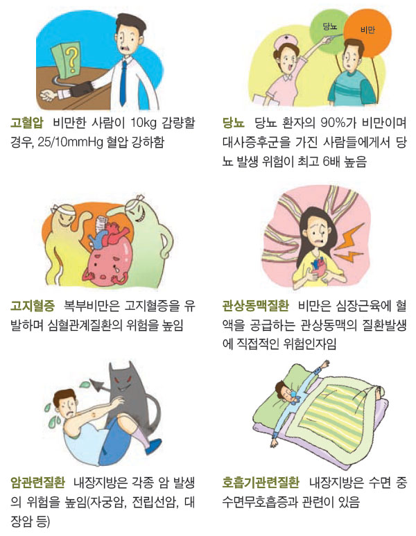 복부비만의 위험성