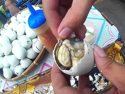 곤달걀(Balut), 필리핀